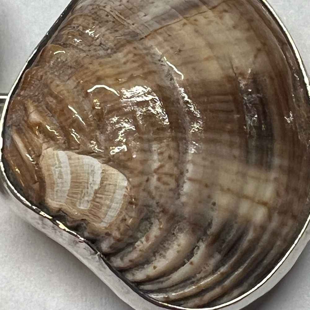 Esperanza 925 Seashell Toggle Bracelet Adjustable 7”-8.5” - Picture 6 of 6